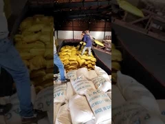 215-477-2 PAC Polyaluminium Chloride , 30% PAC Coagulant